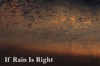 If Rain Is Right song - Derek Pantling