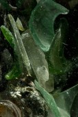 seaglass jewel